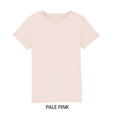 Load image into Gallery viewer, pale pink t-shirt