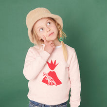 Load image into Gallery viewer, Dinosaur Organic Sweater