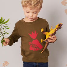Load image into Gallery viewer, Dinosaur Organic Sweater