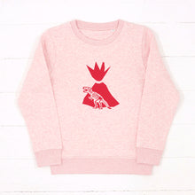 Load image into Gallery viewer, Dinosaur Organic Sweater