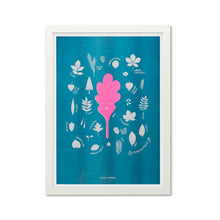 Load image into Gallery viewer, Guide to British Leaves

