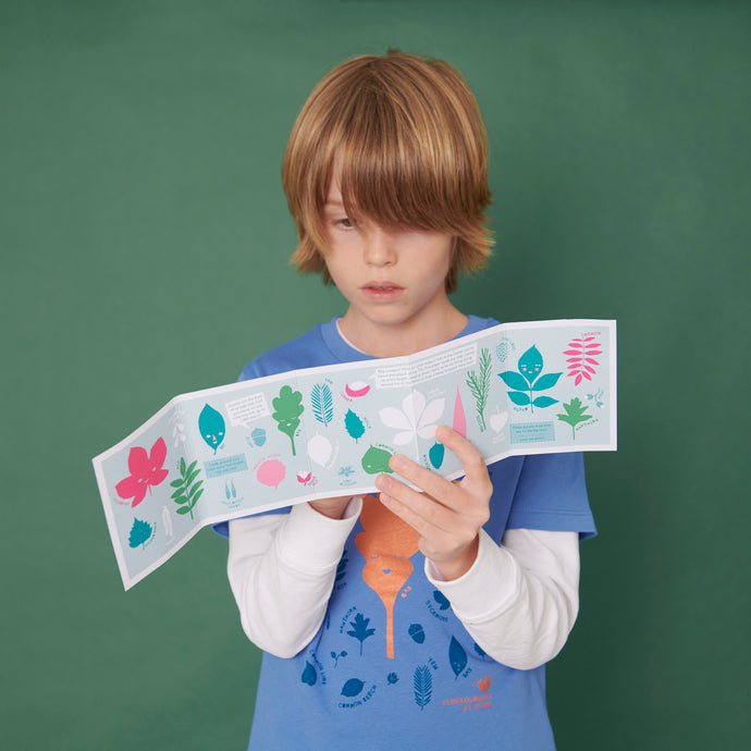 Learning about different leaf shapes using our pocket field guide to being a Dendrologist