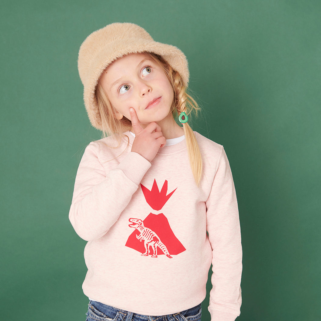 Dinosaur Organic Sweater