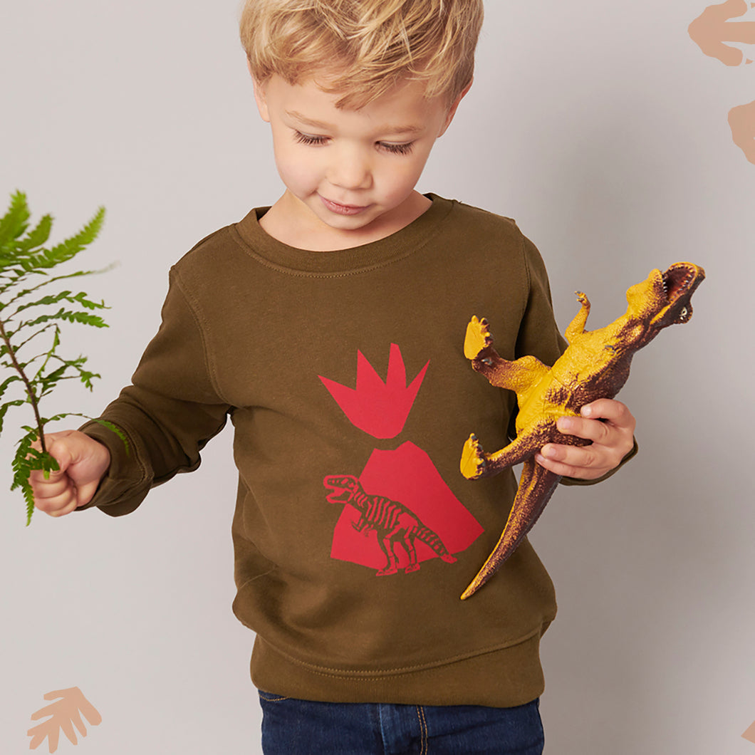 Dinosaur Organic Sweater